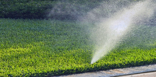 Sprinkler Repair and Lawn Aeration in Spokane