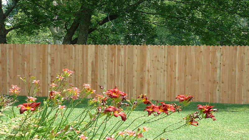 Decorating and Enhancing the Appearance of Chain Link Fences That Keep Dogs in the Yard