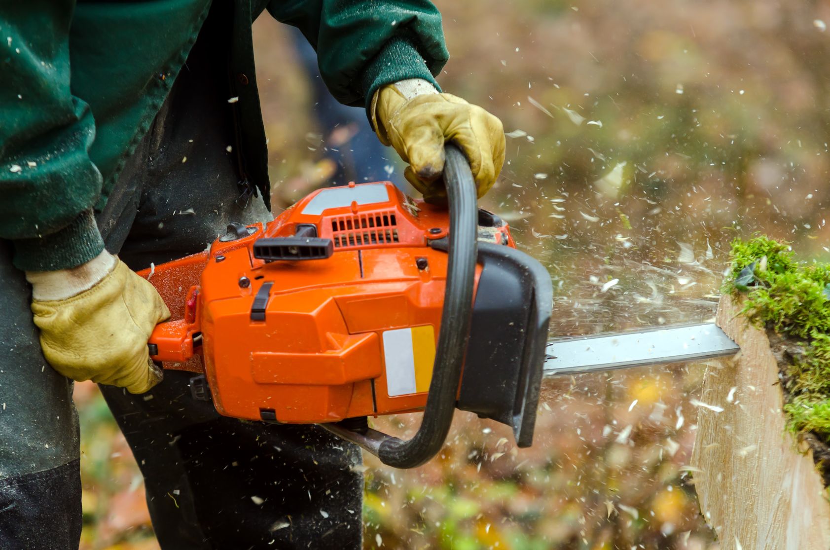 Get Rid Of Tripping Hazards With Stump Grinding in Ellicott City, MD