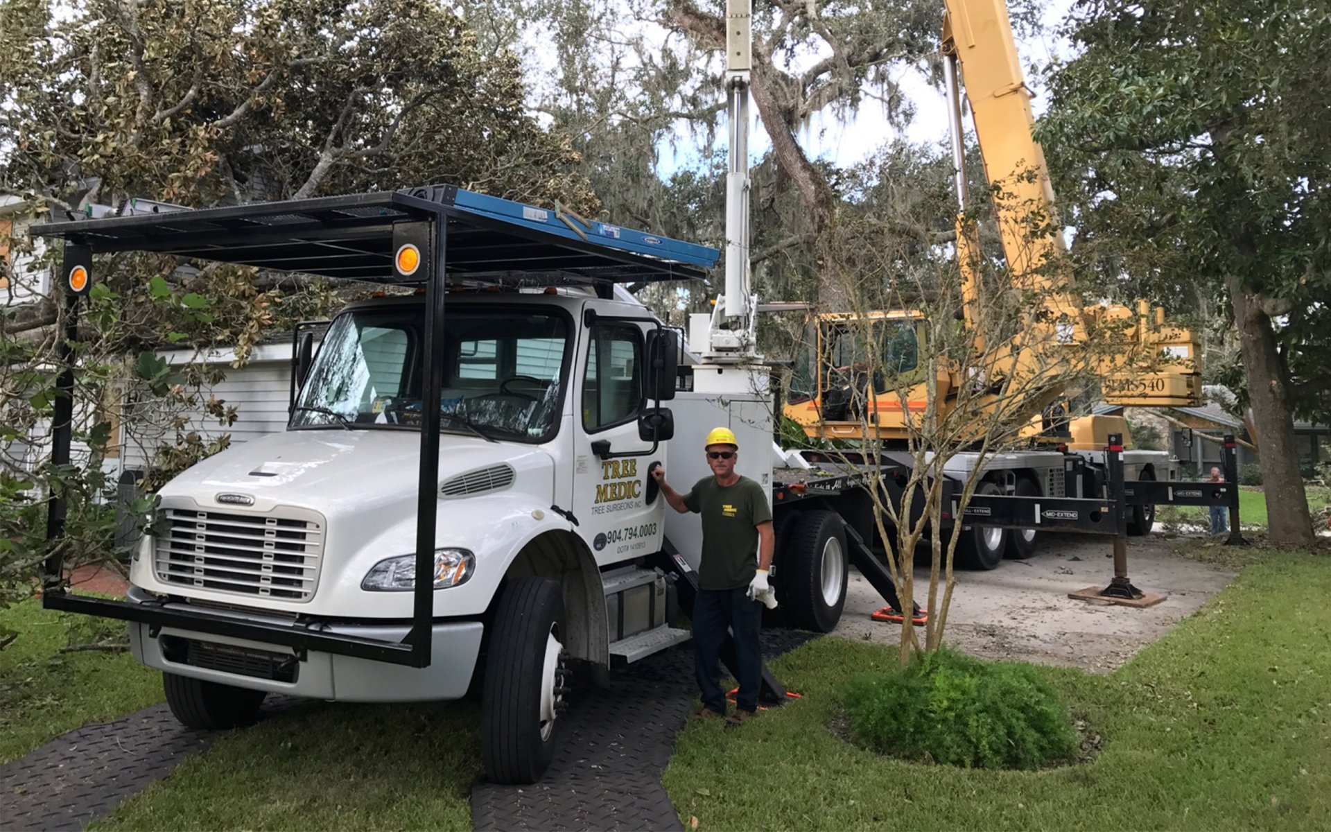 Are You Looking for Professional Stump Grinding in St. Augustine, FL?