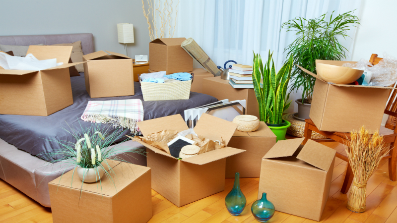 Common Signs That Indicate You Need to Hire Local Movers in Spring, TX