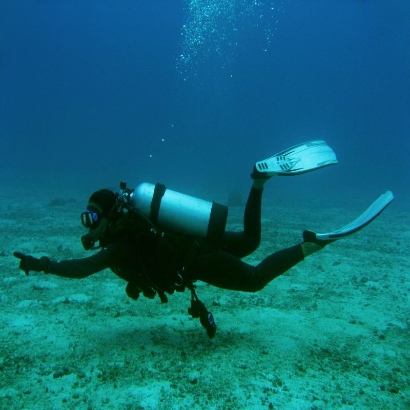 2 Advantages of Utilizing Commercial Diving Services in Seattle