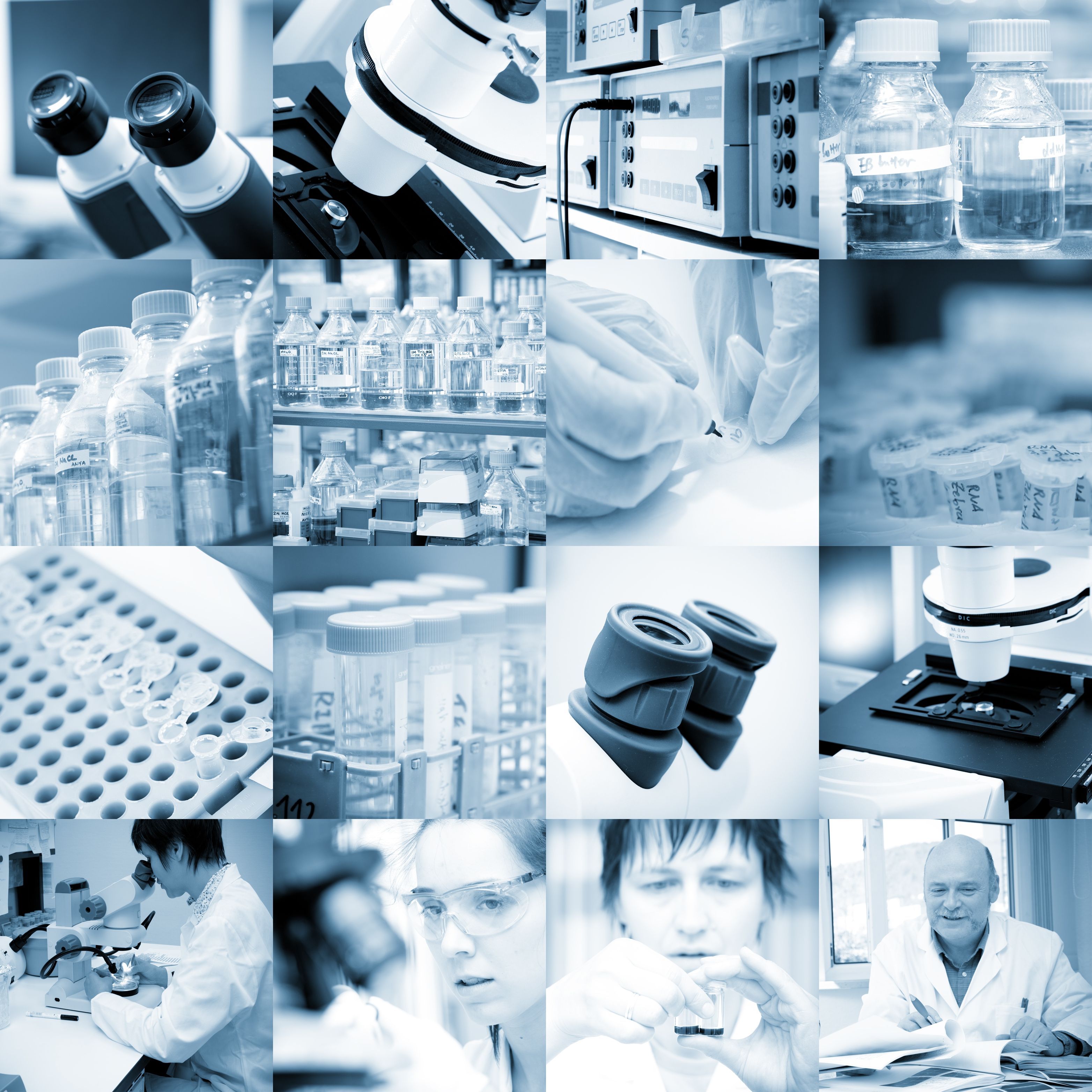 Understanding Ion-exchange Chromatography