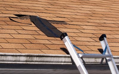 What to Consider When It Comes to Roofing Installation in Sarasota County