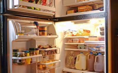 5 Times to Consider Fridge Repair in Windsor, CA