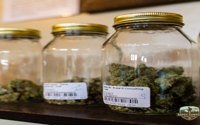 There’s a Great Dispensary in Mesa County, CO, That Offers High-Quality Weed