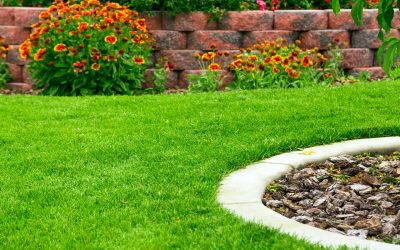 Need Landscaping Design Services in Fresno, CA? 4 Things Your Contract Should Mention