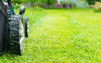 Unleashing Efficiency: The Top Advantages of Using Mowers in Toowoomba.