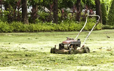 Upgrade your mower with high-quality lawn mower belts for better performance