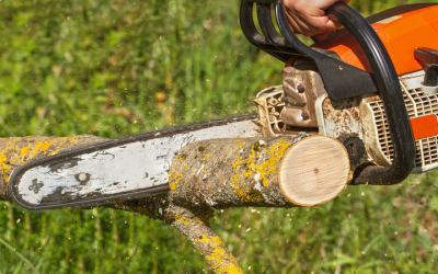 Unlocking Safety and Beauty: Tree Removal Service Marietta, GA